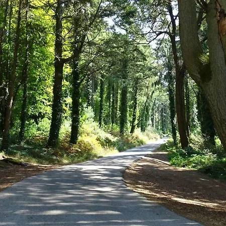 Margarida Charming House In *